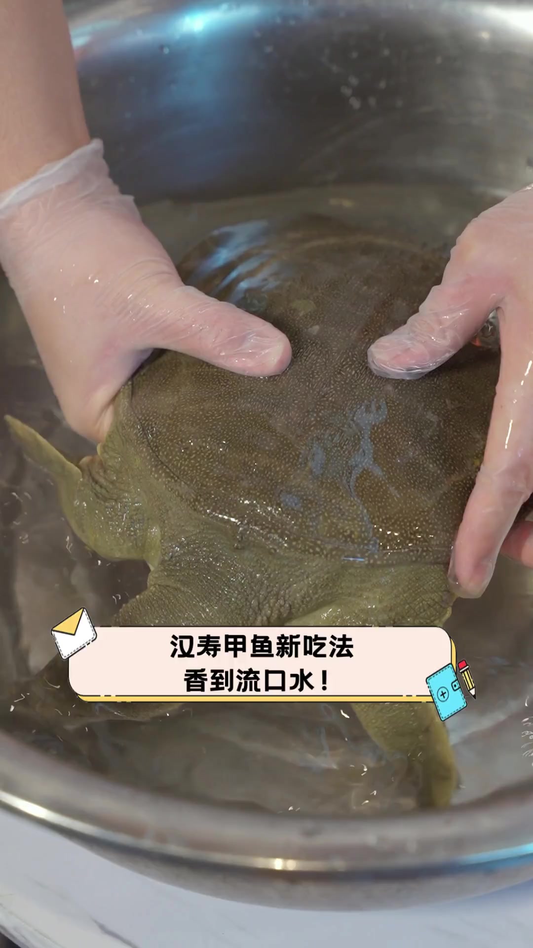 汉寿甲鱼新吃法,香到流口水!