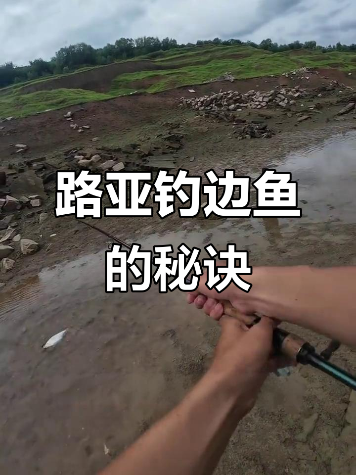 路亚钓鳊鱼技巧:如何用铁底饵吸引底层鱼类