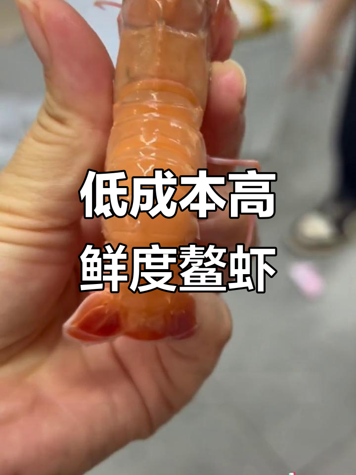 鳌虾价格大揭秘,海鲜自助必备!