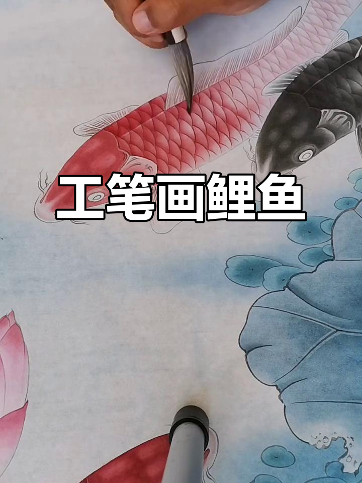 鲤鱼工笔画,细腻入微的技艺展现