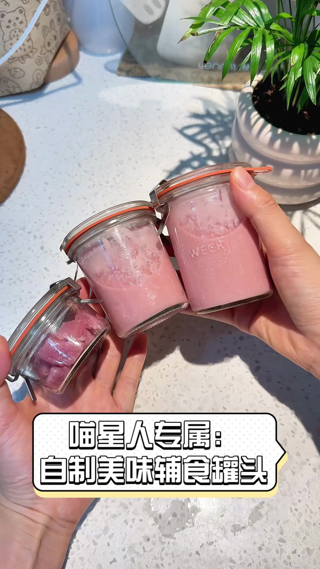 喵星人专属:自制美味辅食罐头