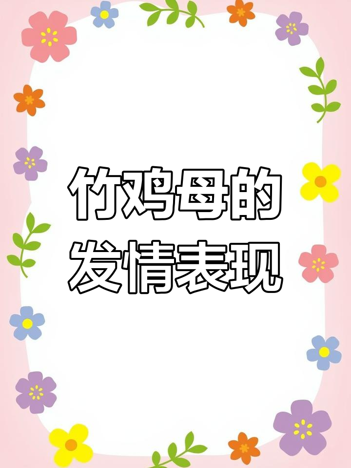 竹鸡母发情,叫声引来了“玩具”