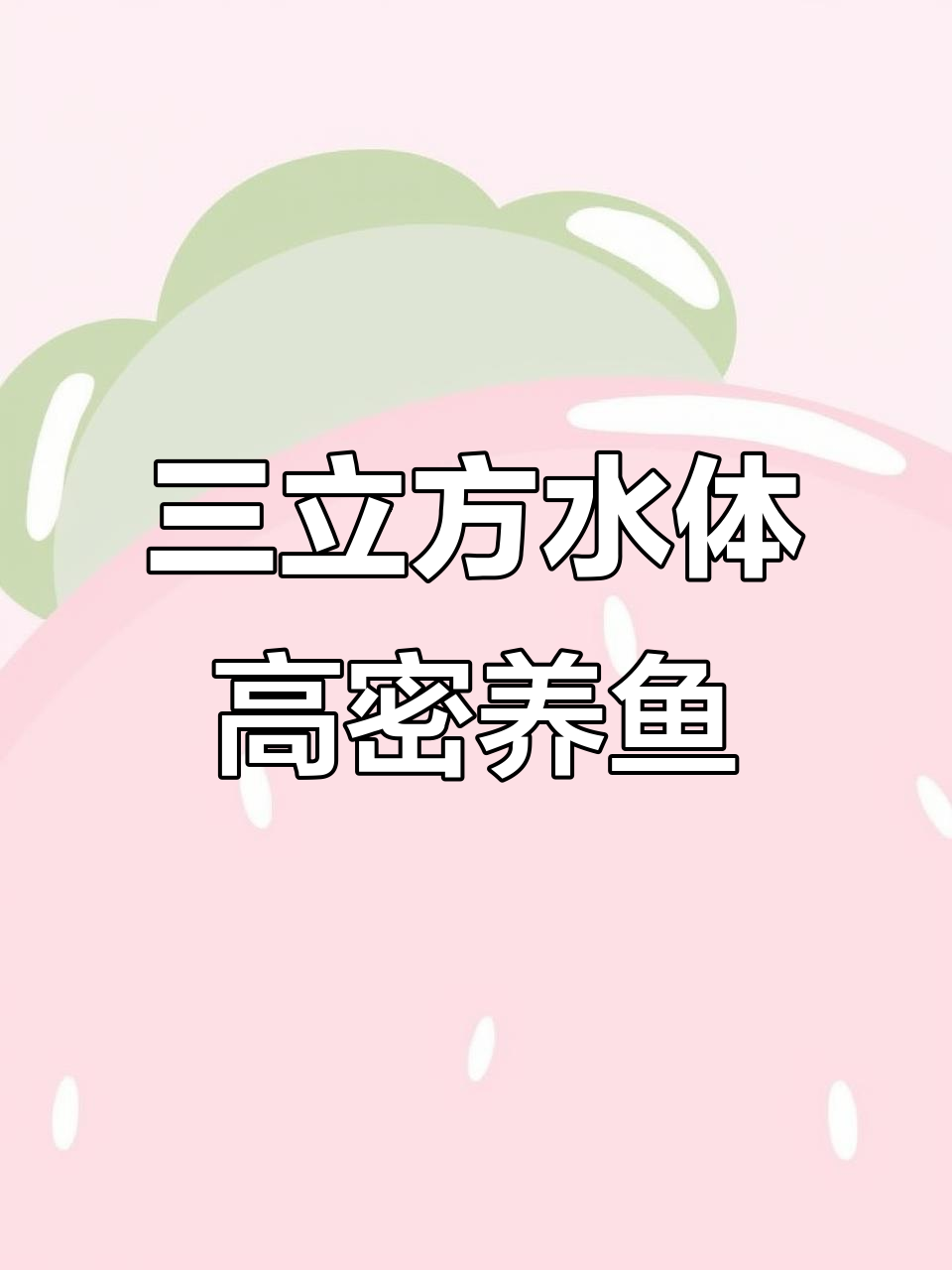 鱼菜共生高密度养殖:三立方水体养三百斤鱼的秘诀