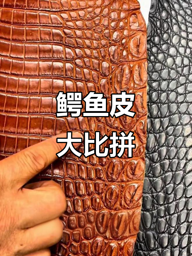 王总与朋友们挑选鳄鱼皮,三大种类谁更胜一筹?