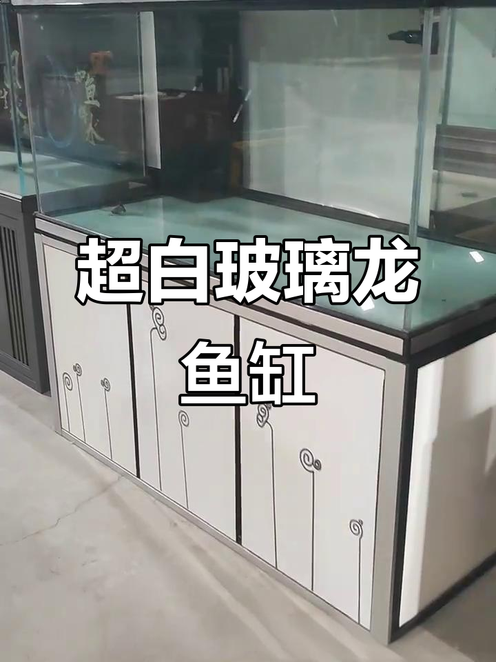 1.5米龙鱼缸,底滤设计超实用,墙排干湿分离更方便