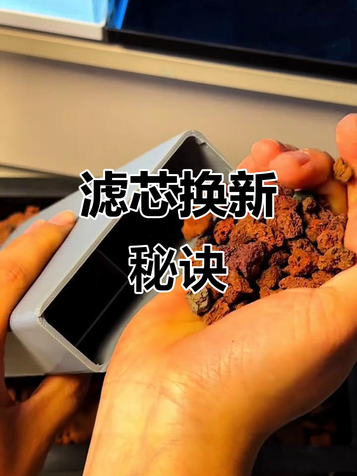 小米鱼缸滤芯更换超简单,轻松一掰即开!
