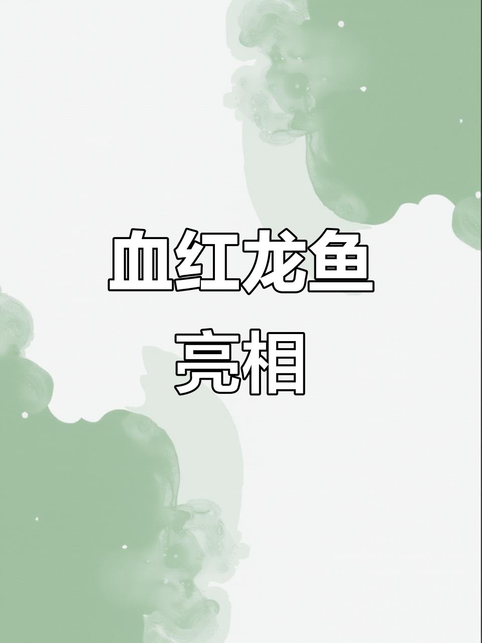 血红龙鱼惊艳登场,太震撼了!