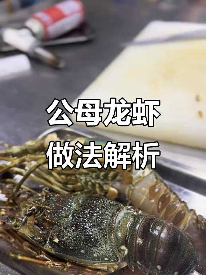 芝士海胆酱焗龙虾,公母辨别技巧大揭秘