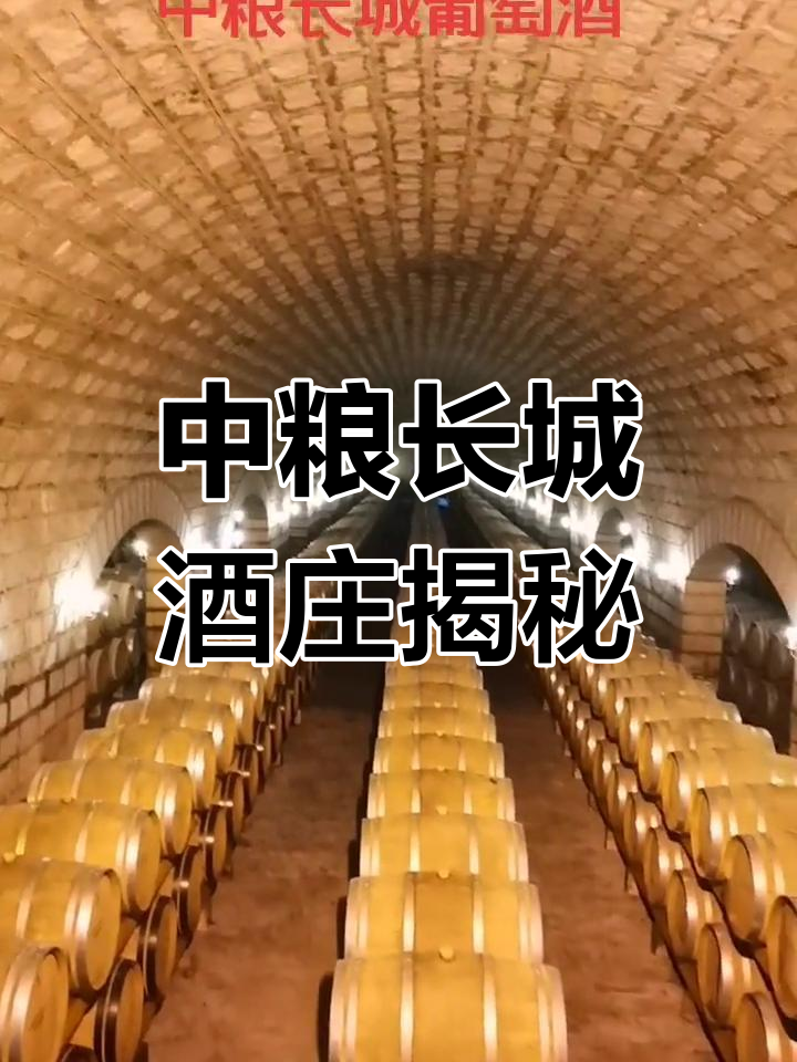 探访中粮长城葡萄酒厂,见证新旧橡木桶的交替