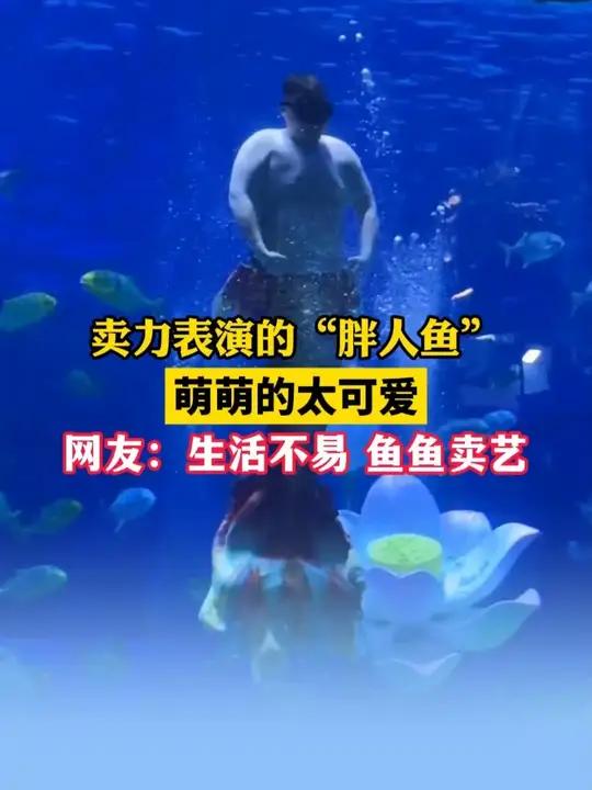 卖力表演的“胖人鱼”，萌萌的太可爱！