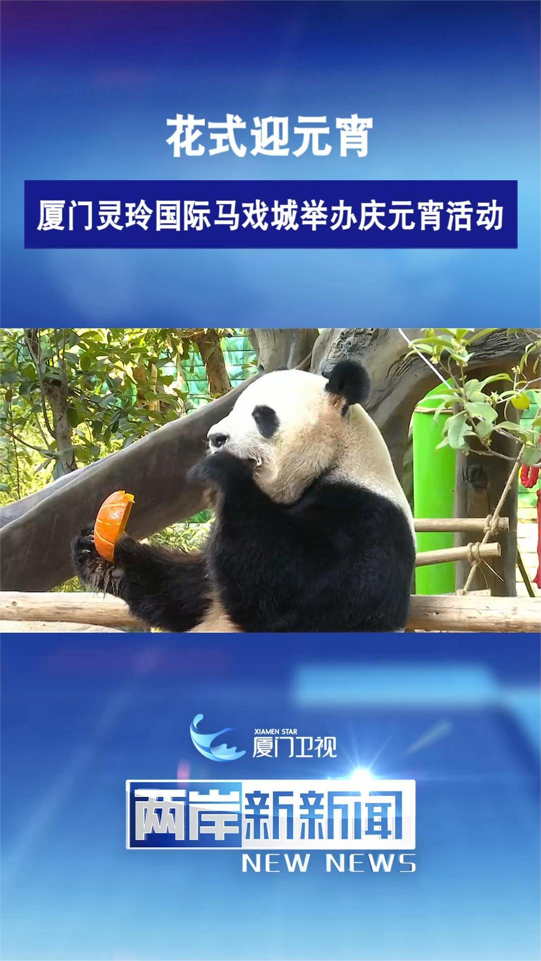 厦门灵玲国际马戏城举办庆元宵活动