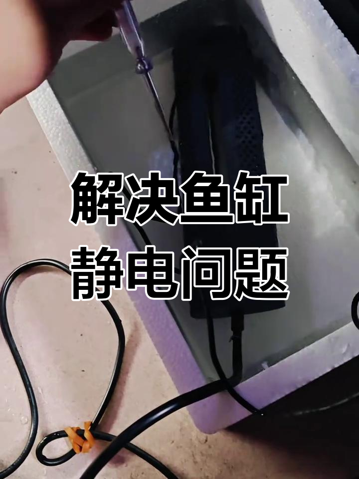 鱼缸加热棒带电问题,简单解决让冬天不再烦恼