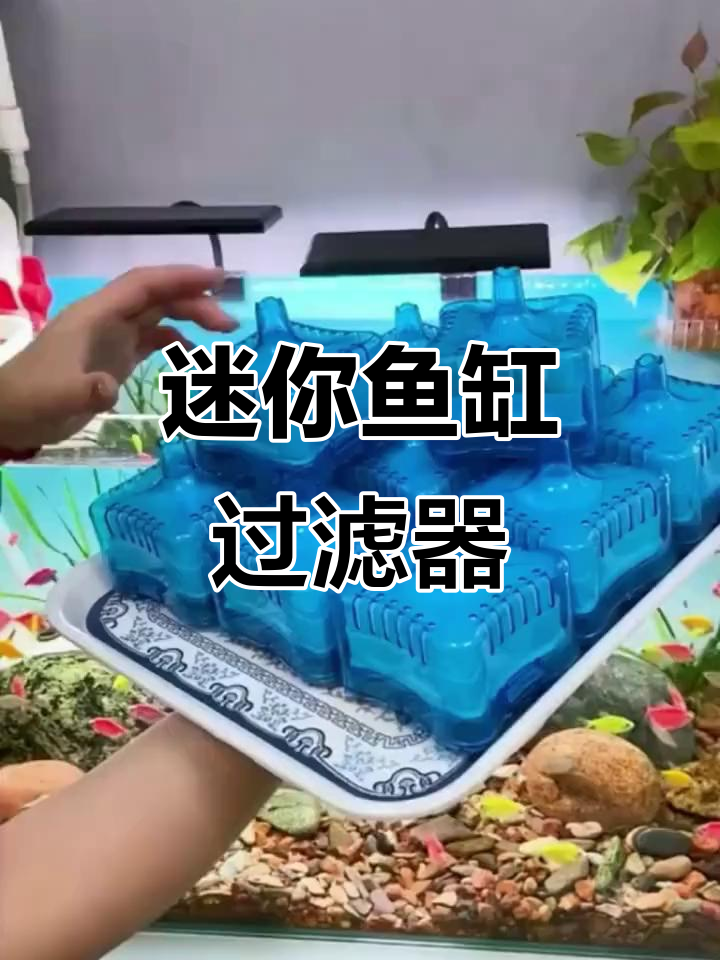 小型鱼缸必备!迷你气动过滤器,静音增氧提升水质