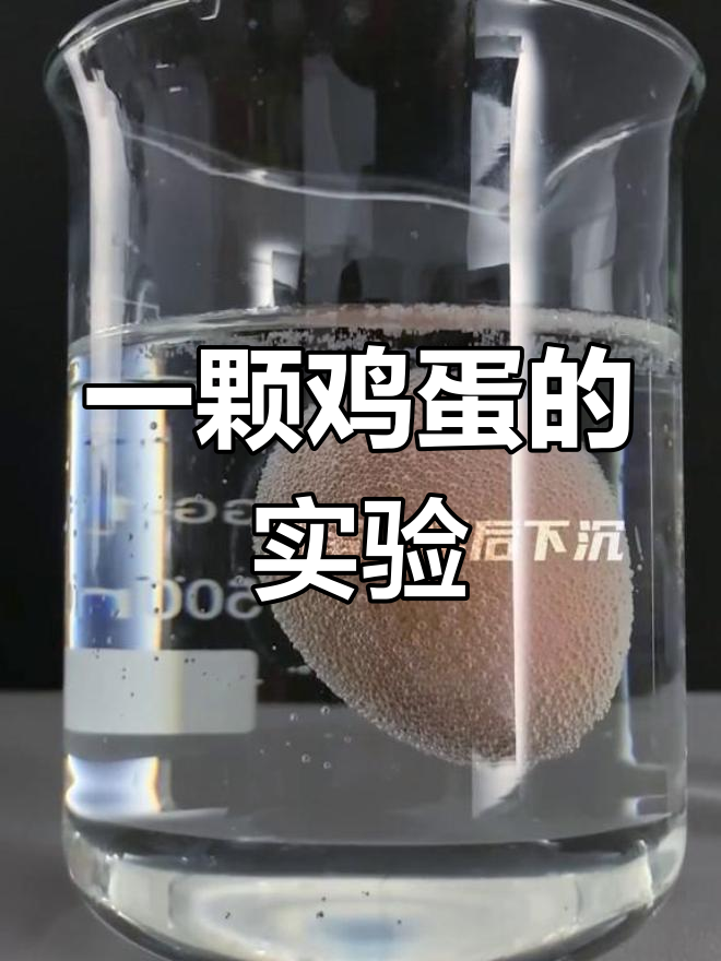 鸡蛋的沉浮实验:探索化学奥秘