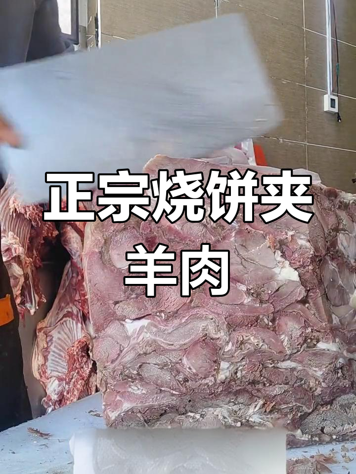 柘城韩峰垛子羊肉烧饼,吃上一口停不下来!