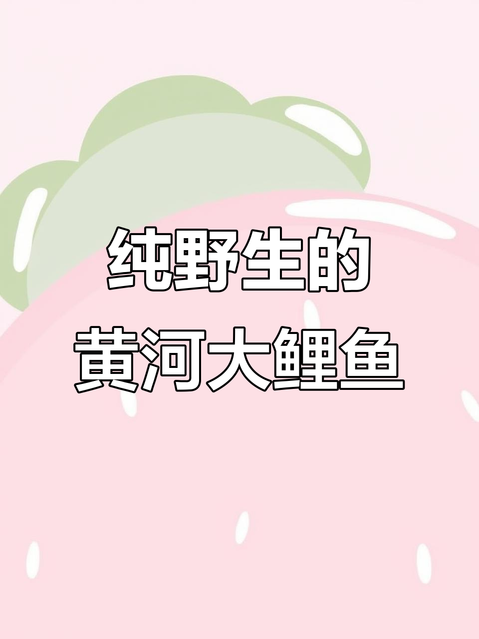 黄河野生大鲤鱼,红烧美味尽显