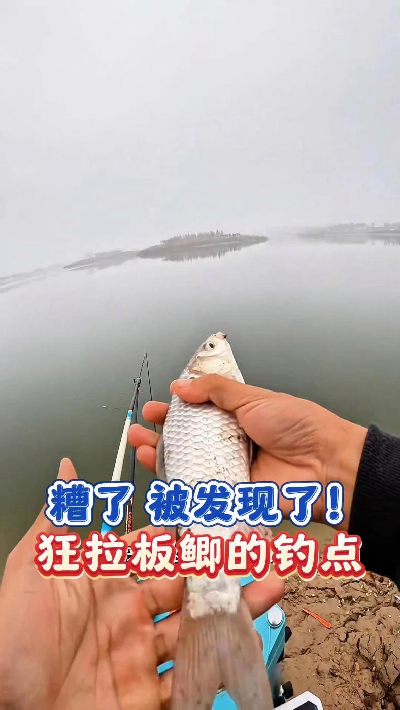 钓鱼王白刺系列鱼竿,性价比太高啦,直播间白刺二代,白刺大物下单都有礼品安排 钓鱼王 大物杆