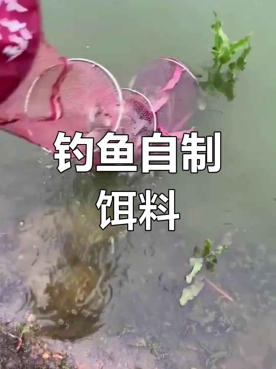 自制钓鲤鱼鲫鱼爆护饵料配方