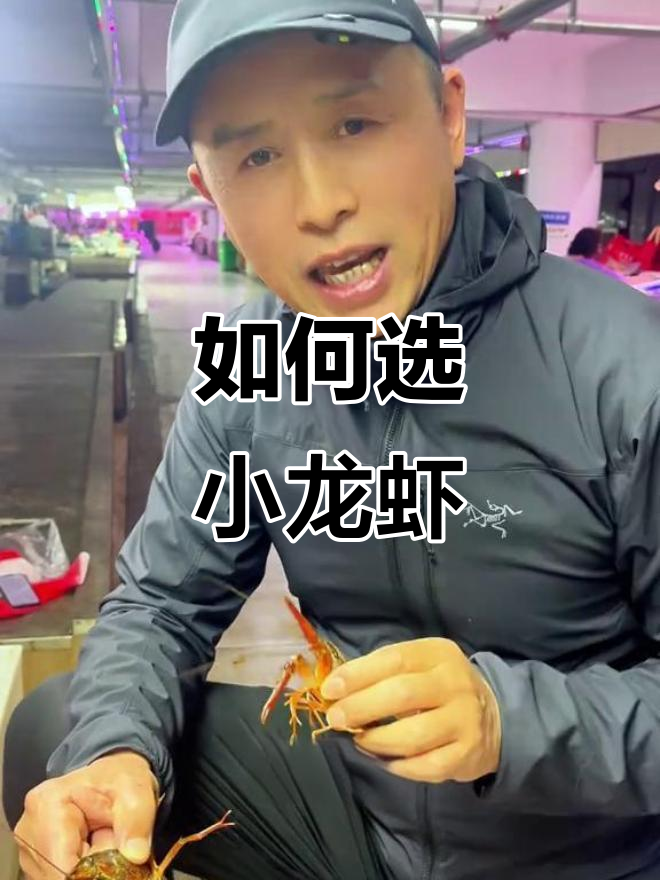 小龙虾规格全解析：如何挑选性价比高的品种