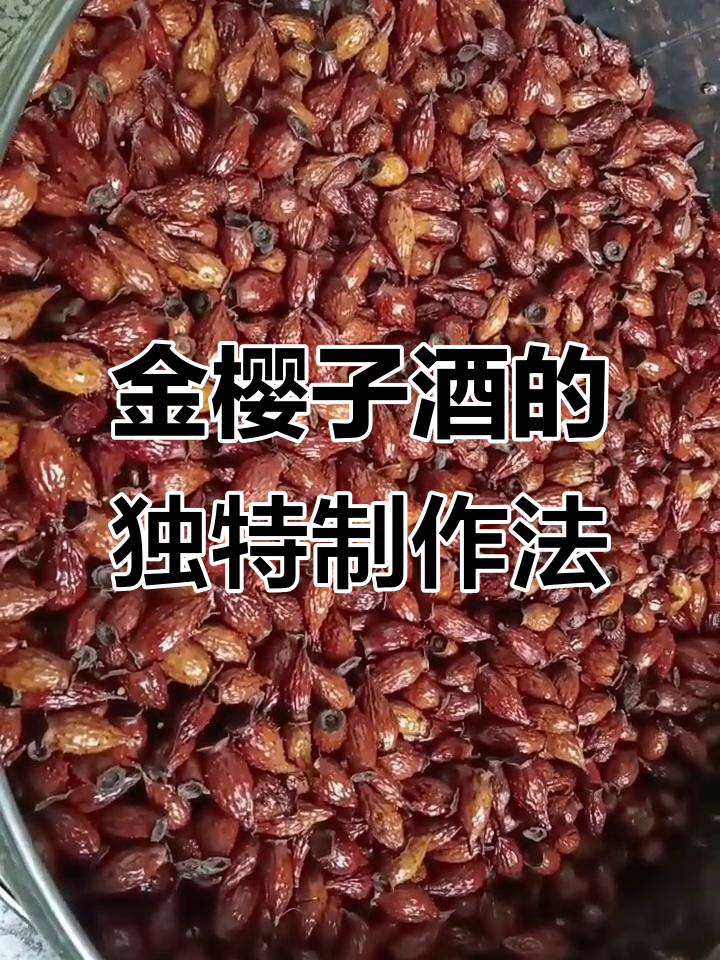 三蒸三晒金樱子酒,香气扑鼻、口感甜美!