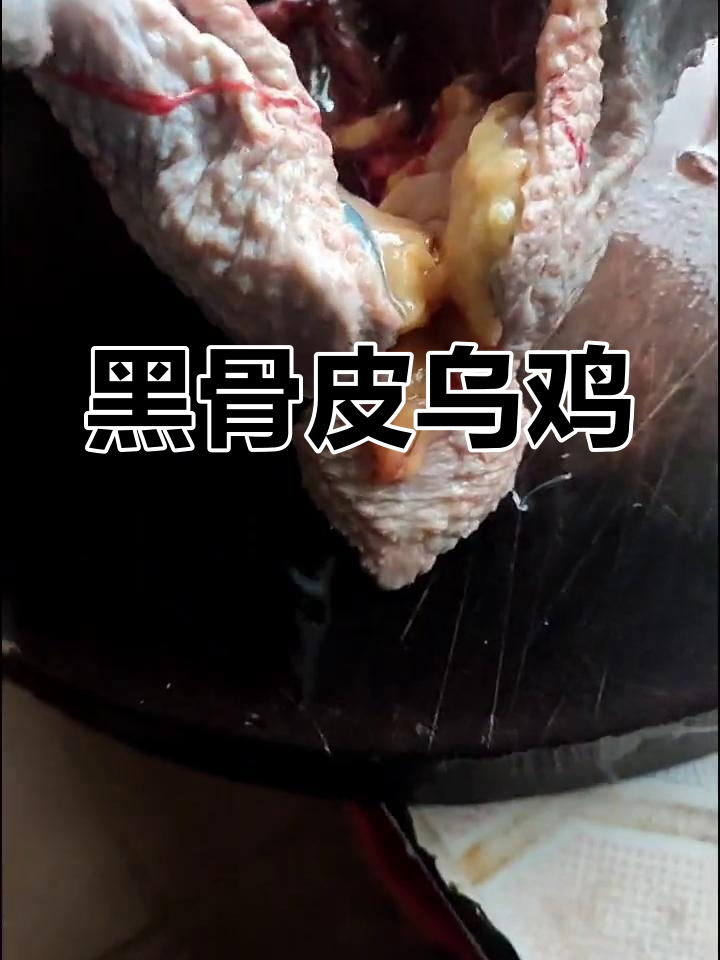 这种乌鸡并非五黑,但味道一样好