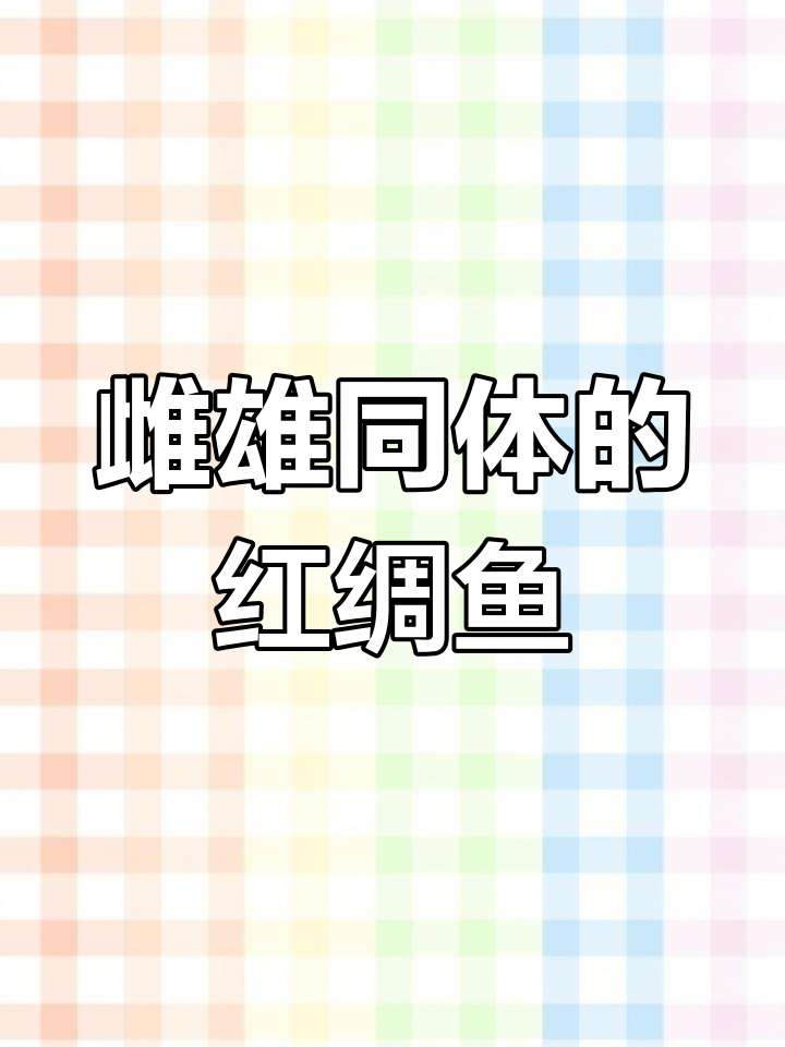 红绸鱼:海洋中的性别转变奇迹