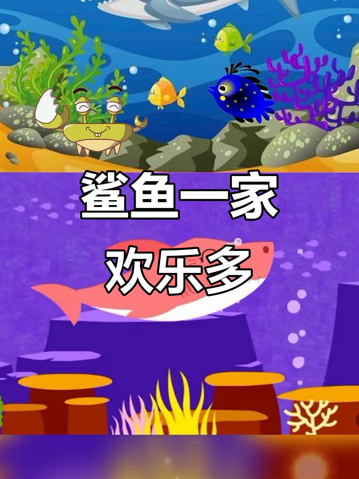 鲨鱼家族大冒险，海洋里的快乐时光
