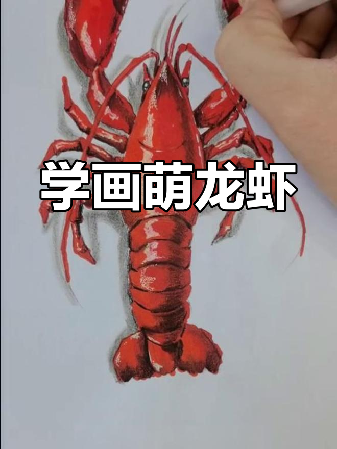 画出可爱龙虾,简单又有趣!