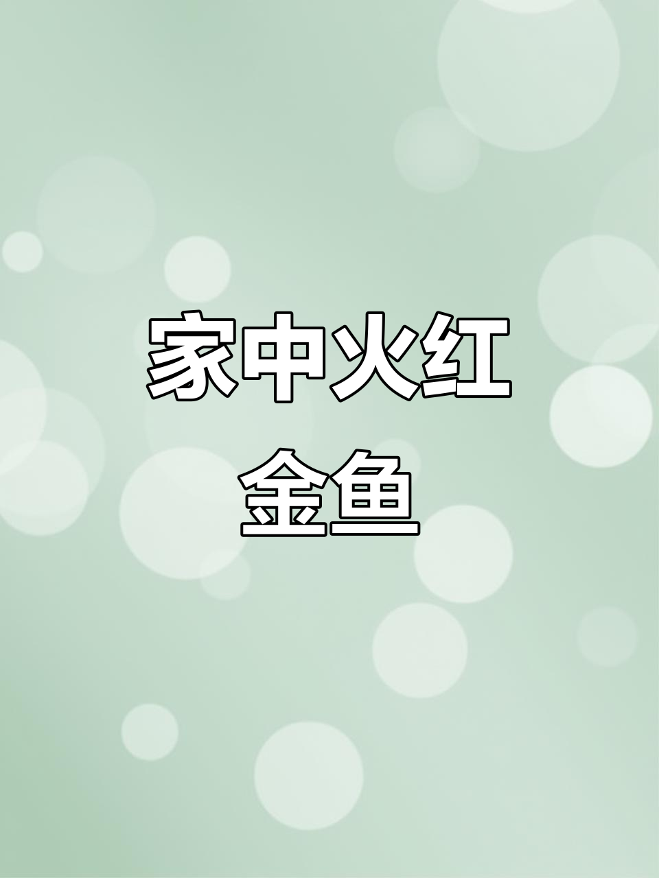 火焰红金鱼，轻松在家养，快递直达，超有趣！
