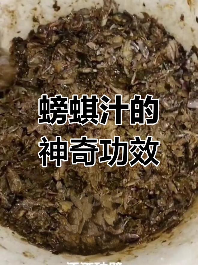 天然螃蜞汁,功效多样,化痰助消化,消炎解毒