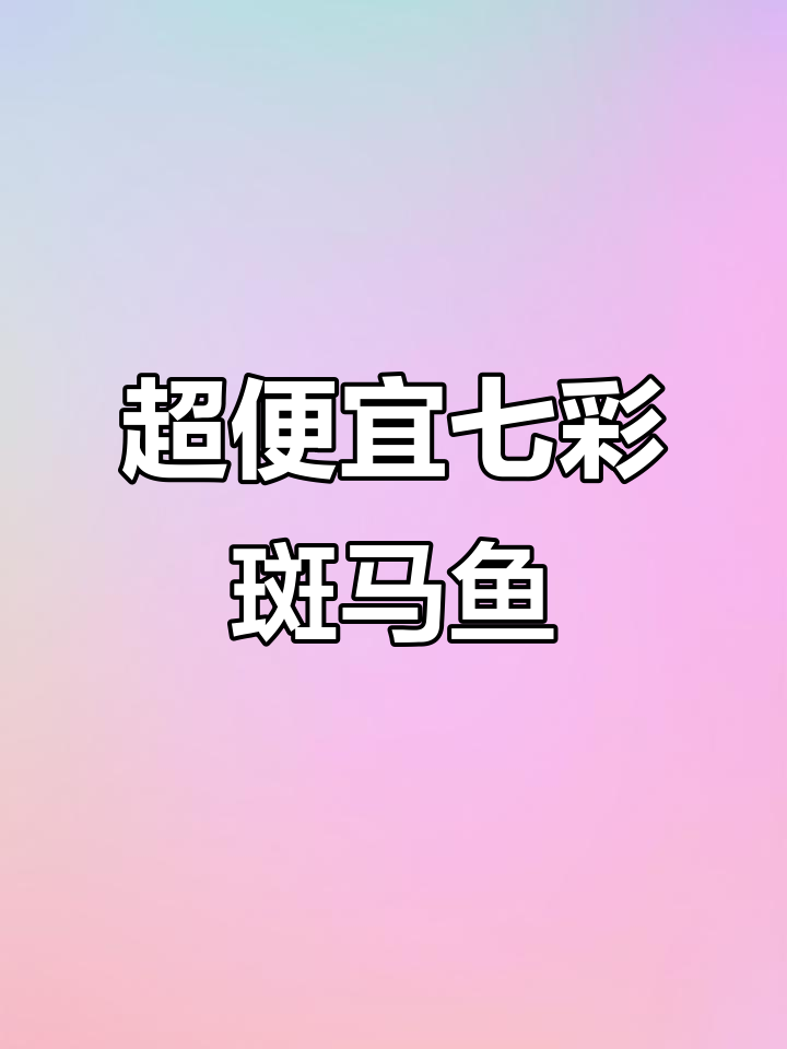 七彩斑马鱼,几毛钱一条超好养!新手必选冷水观赏鱼