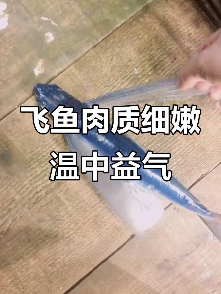 飞鱼刺身:顶级食材的独特美味与养生功效