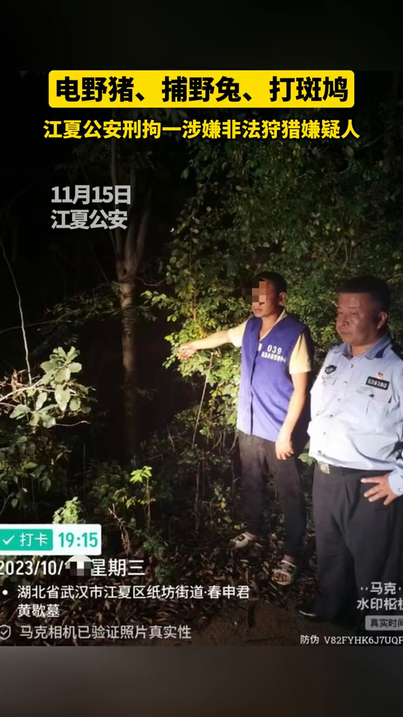 为解馋男子用高压逆变器架网电野猪、野兔,刑拘