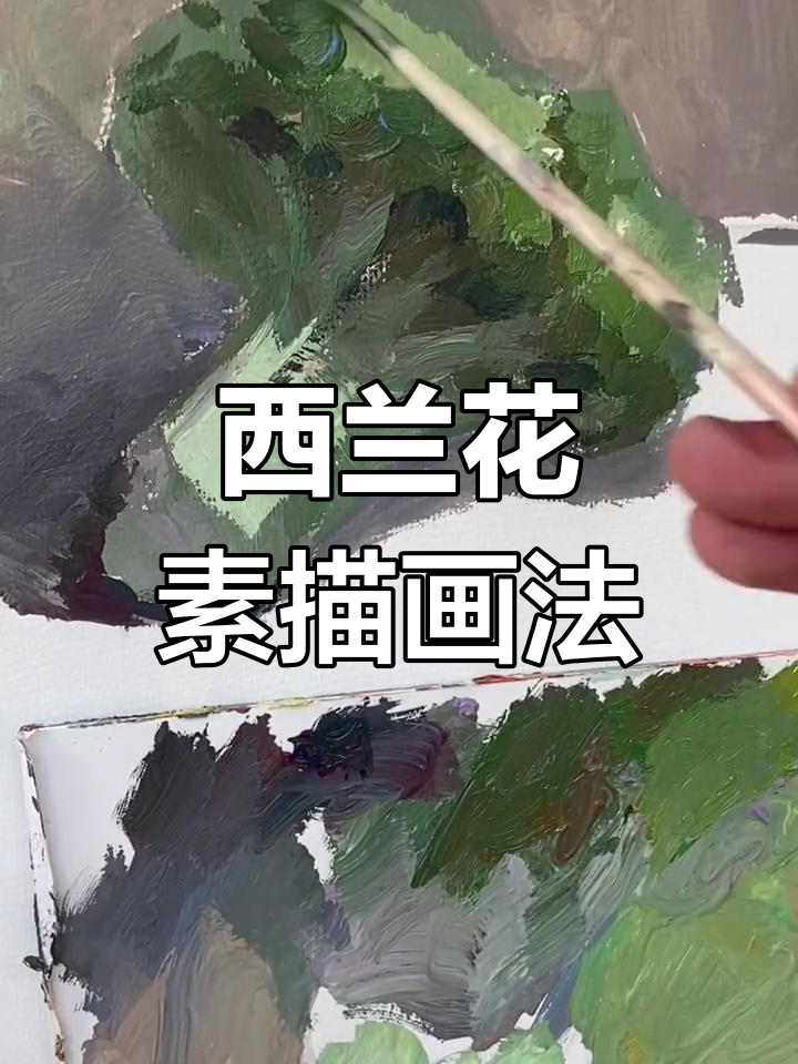 联考热点蔬菜素描技巧，西兰花如何绘制？