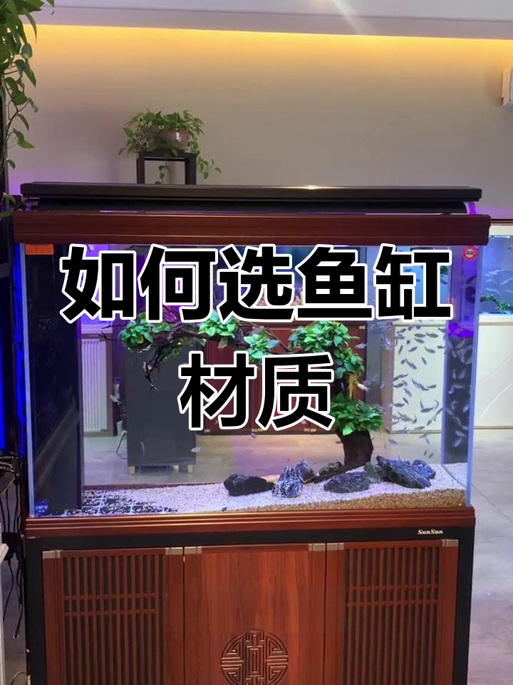 鱼缸材质大揭秘:实木、铝合金还是石塑?