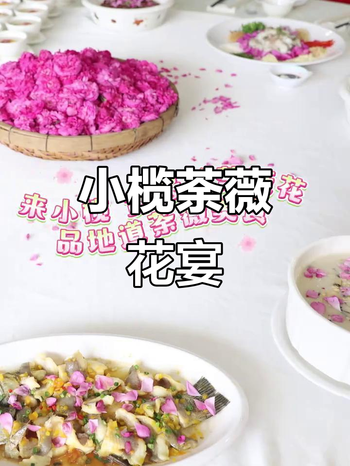 小榄荼薇花盛开,春日限定花香宴