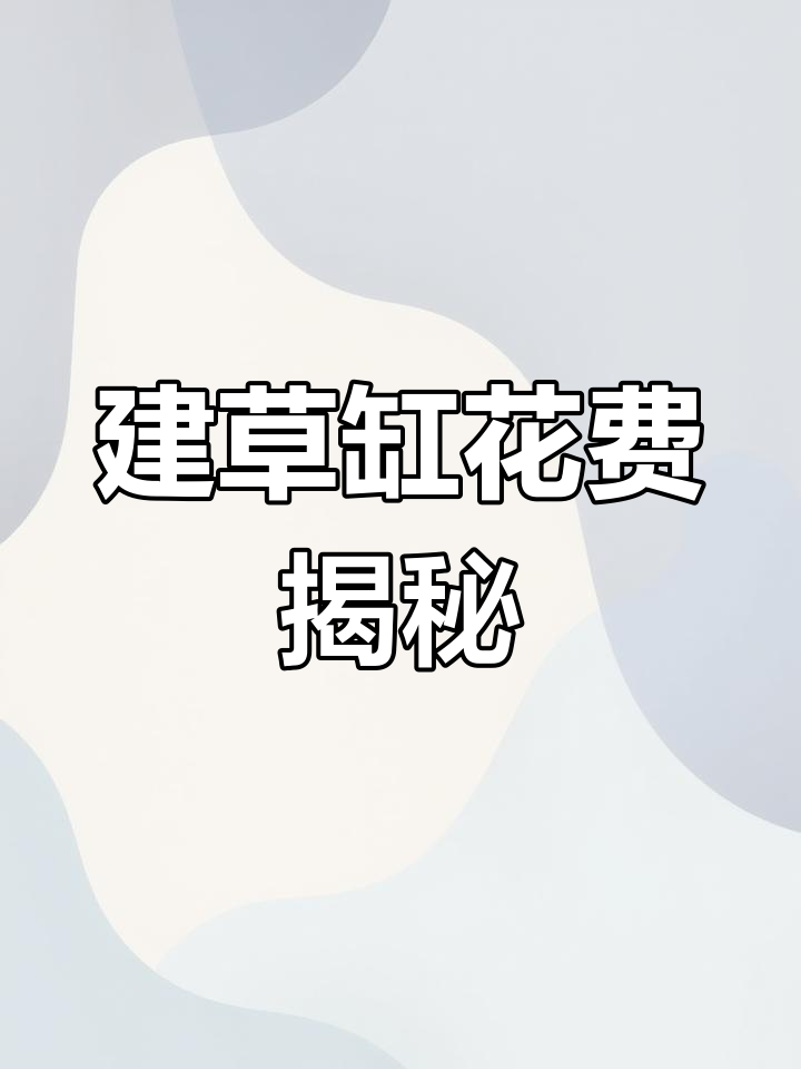 开一个生态鱼缸需要多少钱?