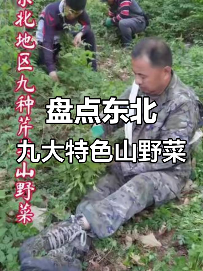东北九种常见山野菜,营养丰富又独特
