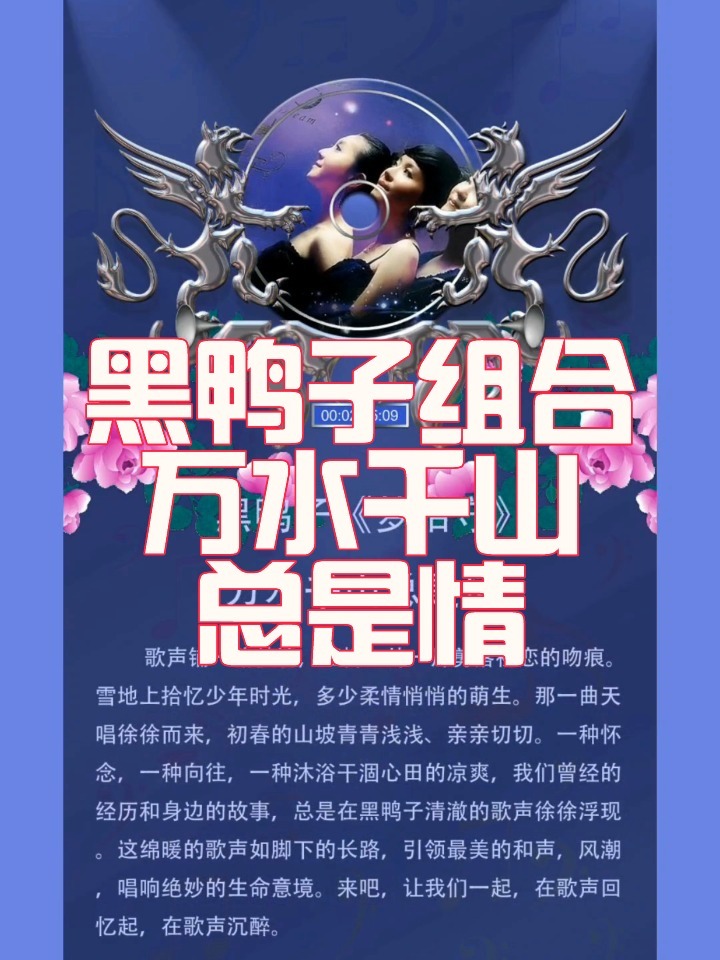 黑鸭子组合(万水千山总是情)