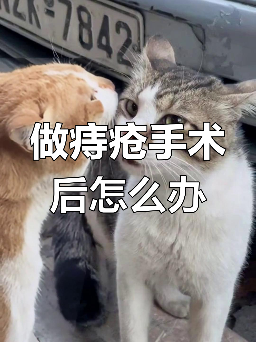 痔疮手术可能让肛门变大?医生建议这样做