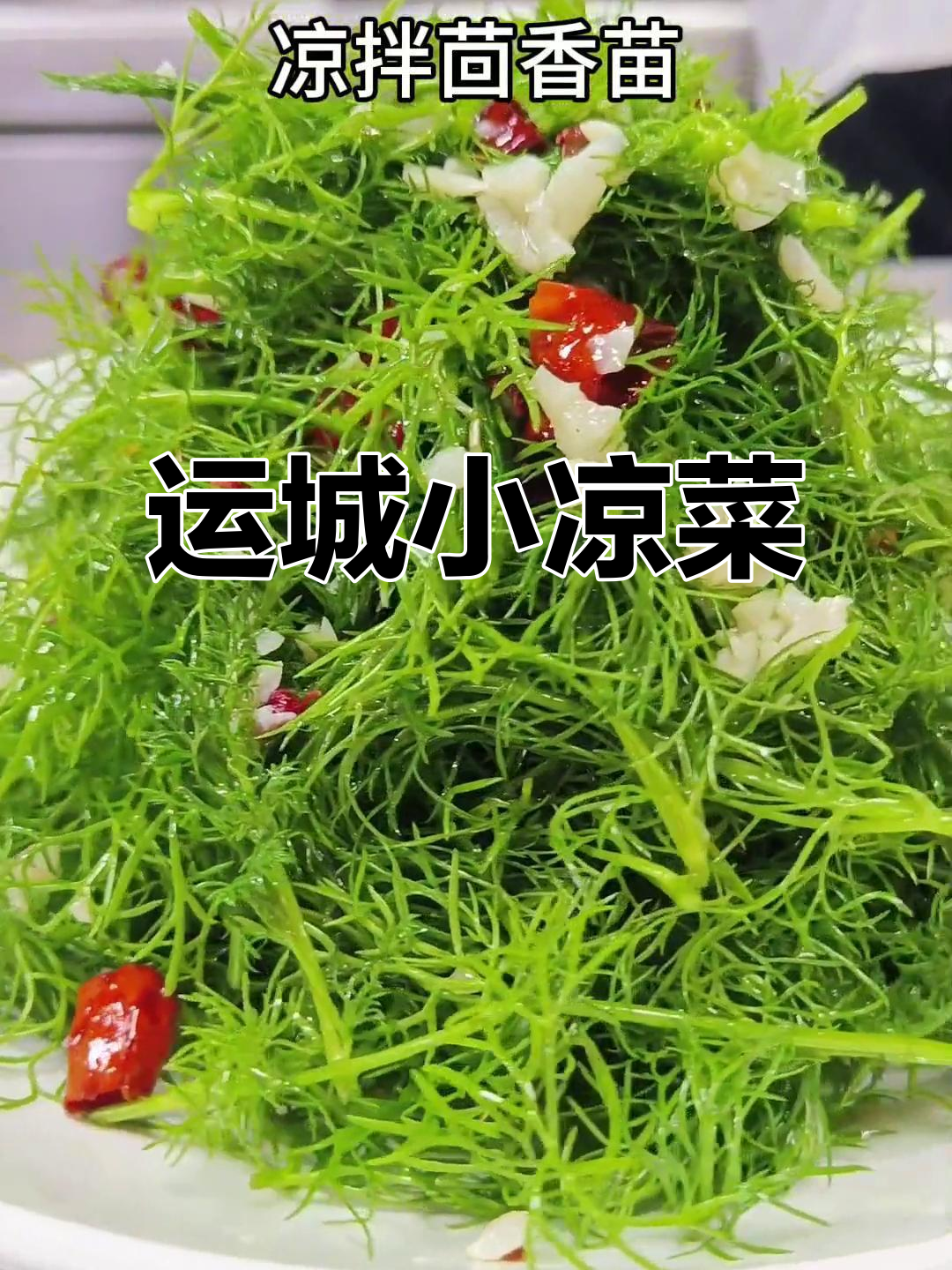运城特色凉拌茴香苗,口感鲜美,简单又下饭
