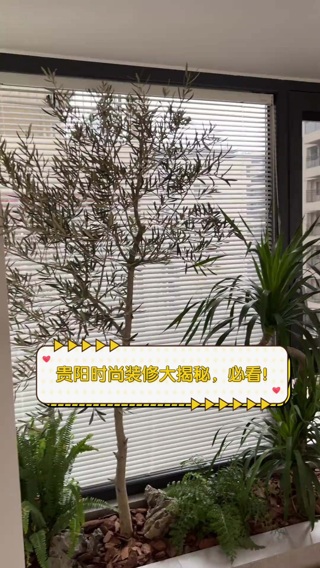 贵阳时尚装修大揭秘，必看！