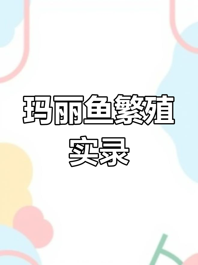 白玛丽鱼体内受精全过程,公母鱼恩爱互动大揭秘