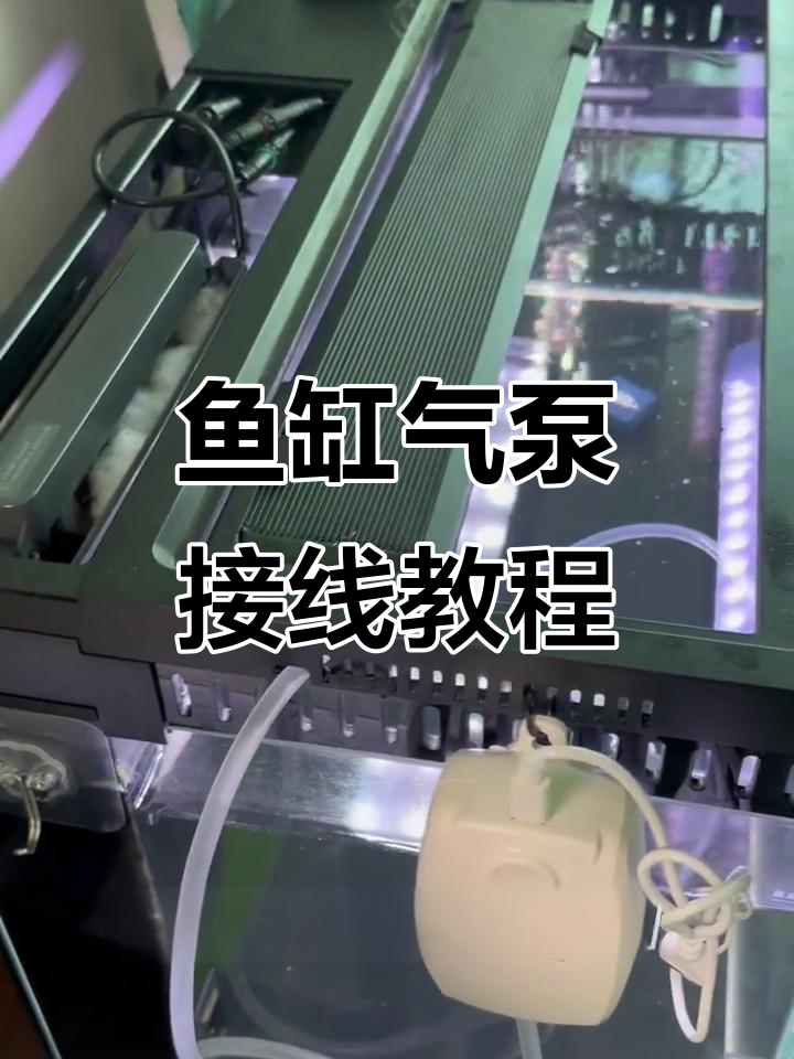 当贝鱼缸气泵安装全攻略，轻松搞定氧气供应
