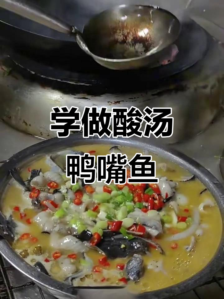 酸汤鸭嘴鱼做法大揭秘,简单又美味!