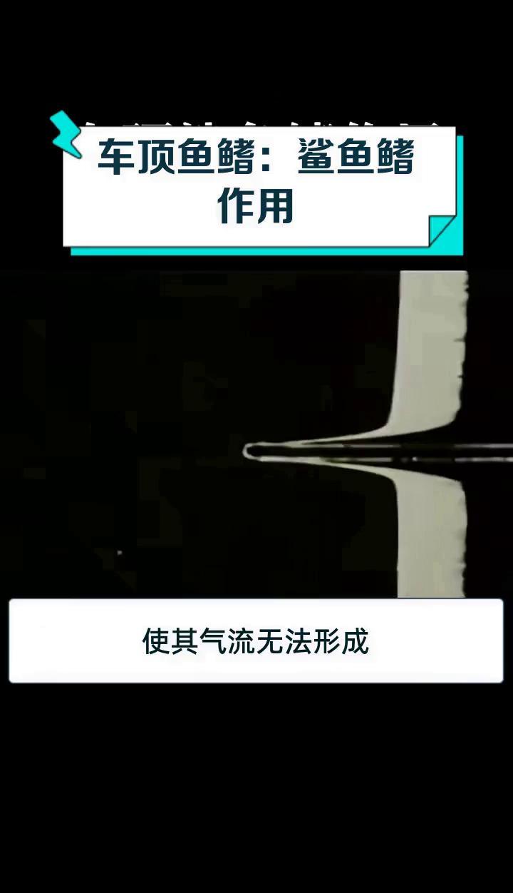 车顶鱼鳍:鲨鱼鳍作用