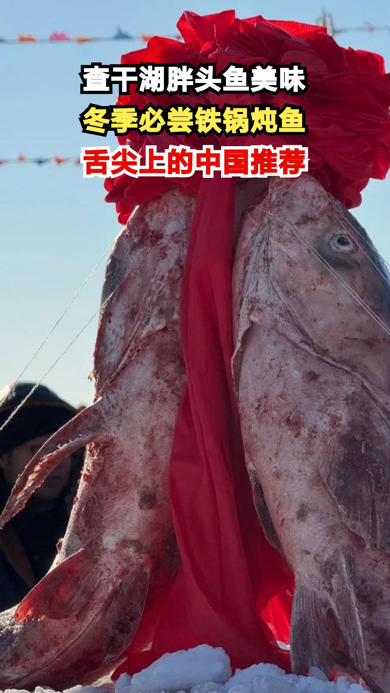 零下30度查干湖冬捕现场,胖头鱼铁锅炖为何让游客排队3小时?