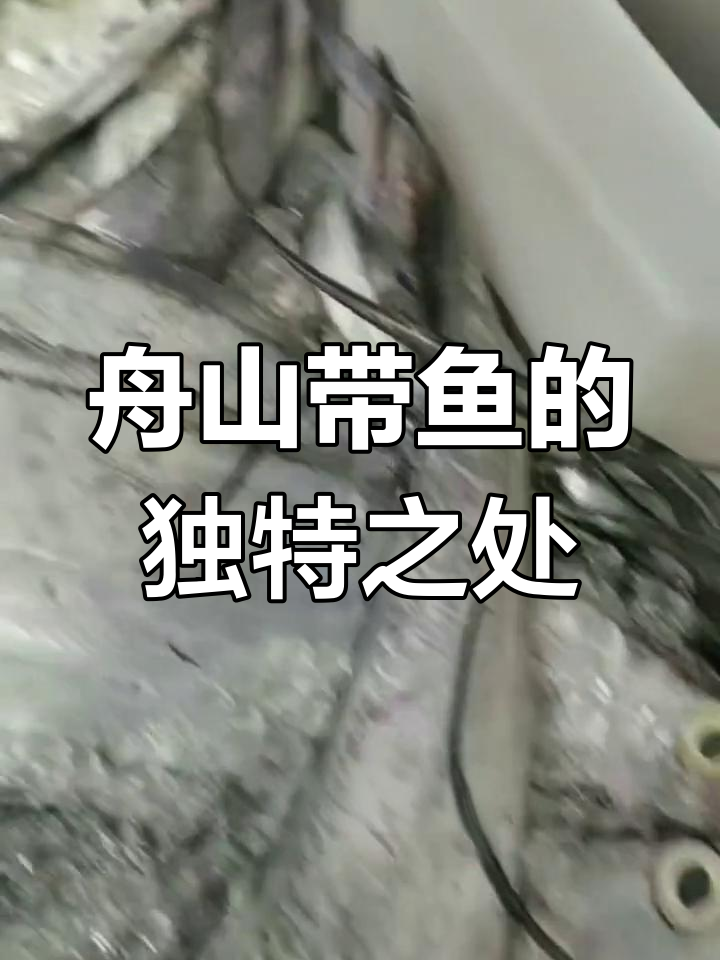 舟山带鱼的特点与分布