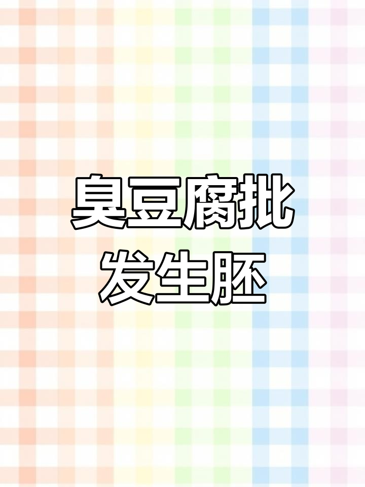 臭豆腐工厂直击,品质保证的生胚批发