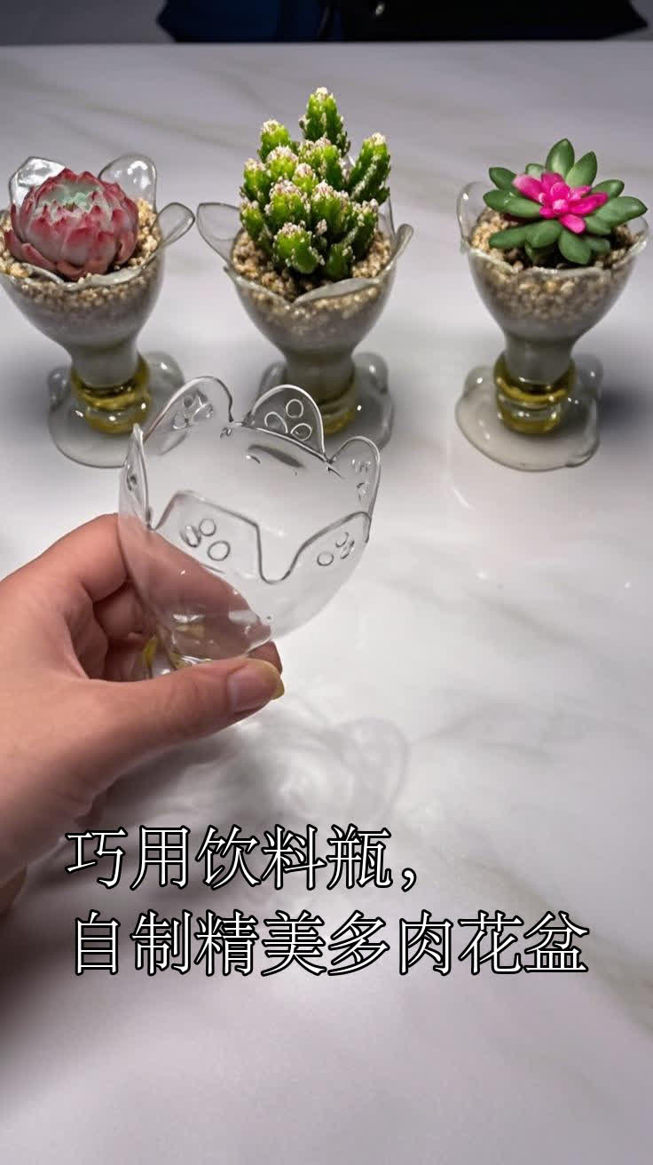 巧用饮料瓶,自制精美多肉花盆